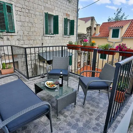 Daire Luxury Lioness *