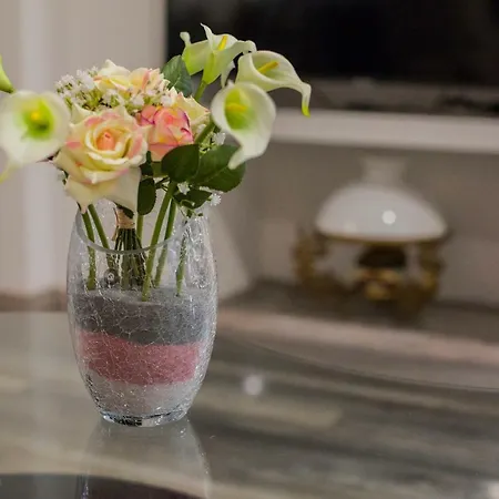 Apartamento Luxury Lioness *