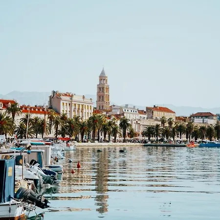 Luxury Lioness * 斯普利特