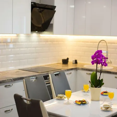 Apartment Luxury Lioness Split