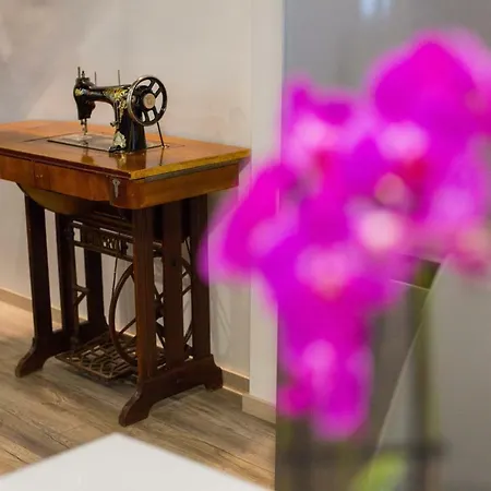 Luxury Lioness Split