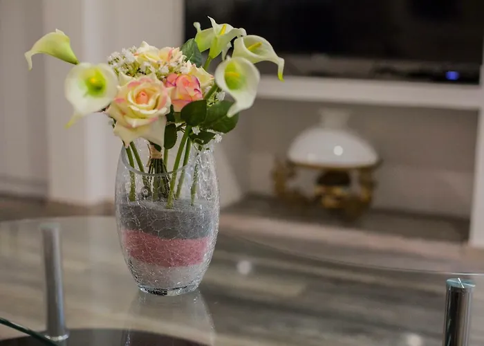 아파트 Luxury Lioness *